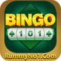 Bingo 101